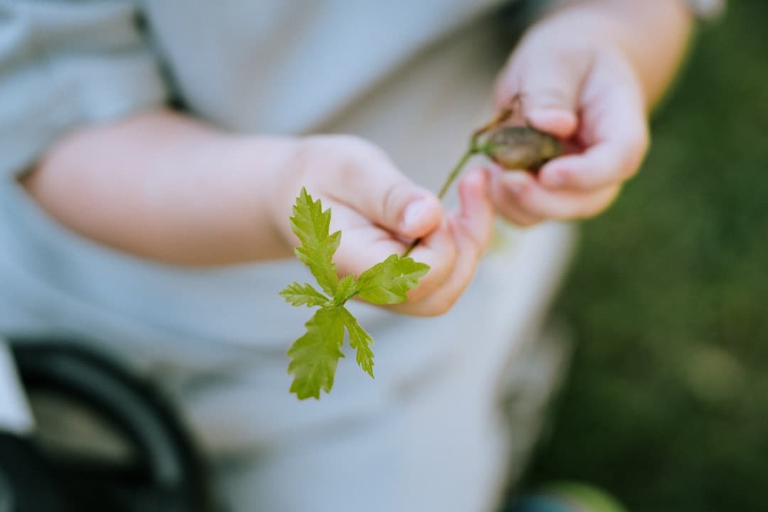 Nature & garden play